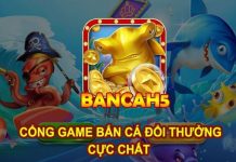 bancah5